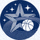 星空体育官网Logo：XINGKONG SPORTS全场景赛事数据与体育信息服务平台标识